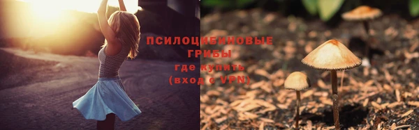 а пвп мука Осинники