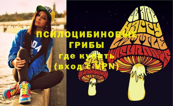 а пвп мука Осинники