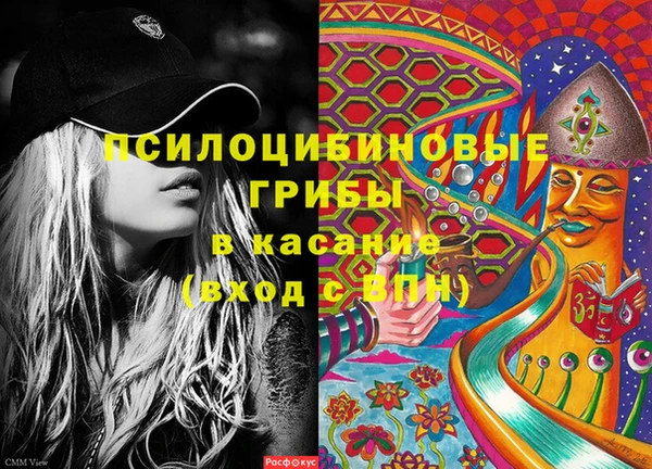 гашик Остров
