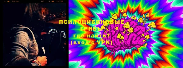 а пвп мука Осинники
