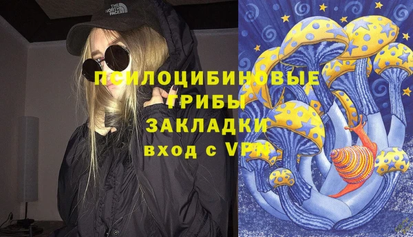 а пвп мука Осинники