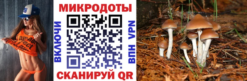 Галлюциногенные грибы мицелий  Ясногорск 